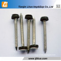 Galvanized Annular Ring Shank or Twist Shank Coil Nails